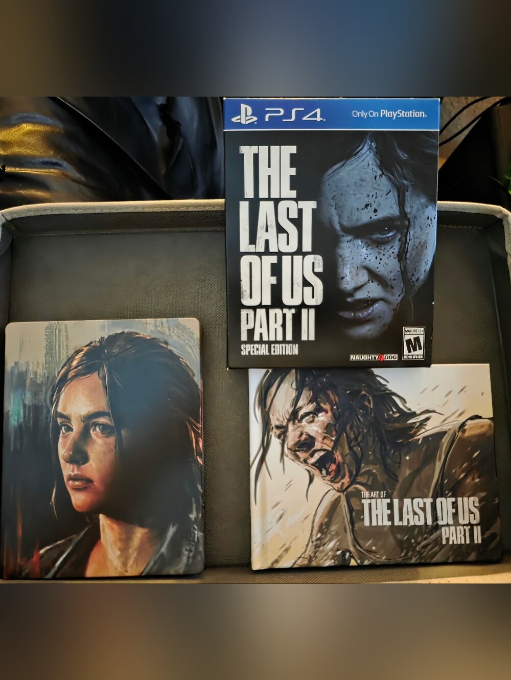Last Of Us Part 2- PS4 Special Edition